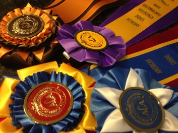 Matthew B. Stoltzfus ACA dog show ribbons